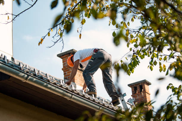 Quick and Trustworthy Emergency Roof Repair Services in Pine Grove, CA