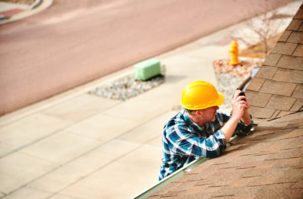 Roof Gutter Cleaning in Pine Grove, CA