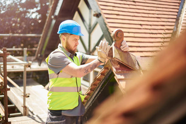 Best Roof Gutter Cleaning  in Pine Grove, CA